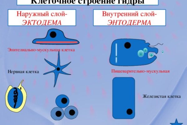 Кракен купить порошок