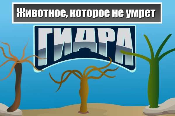 Как сделать заказ на кракен