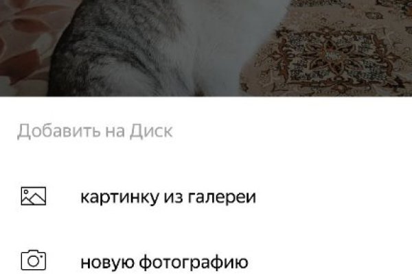Даркнет официальный сайт вход
