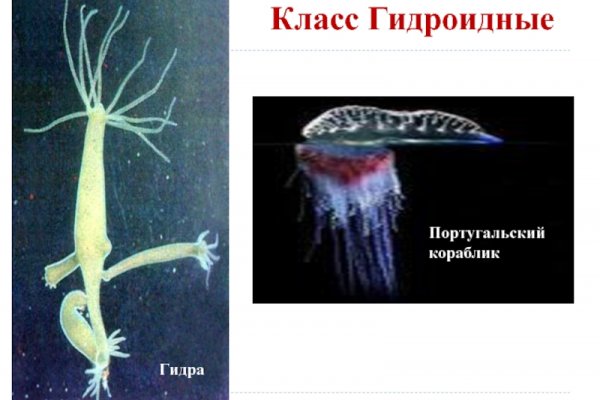 Кракен сайт тор ссылка