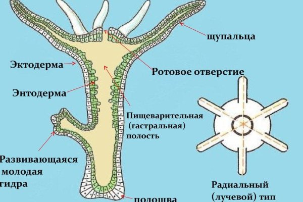 Как войти в даркнет