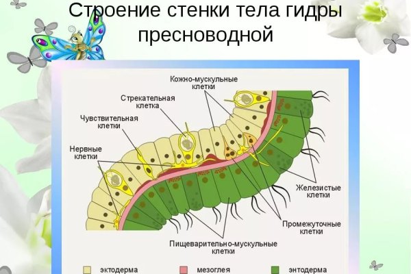 Вход на кракен