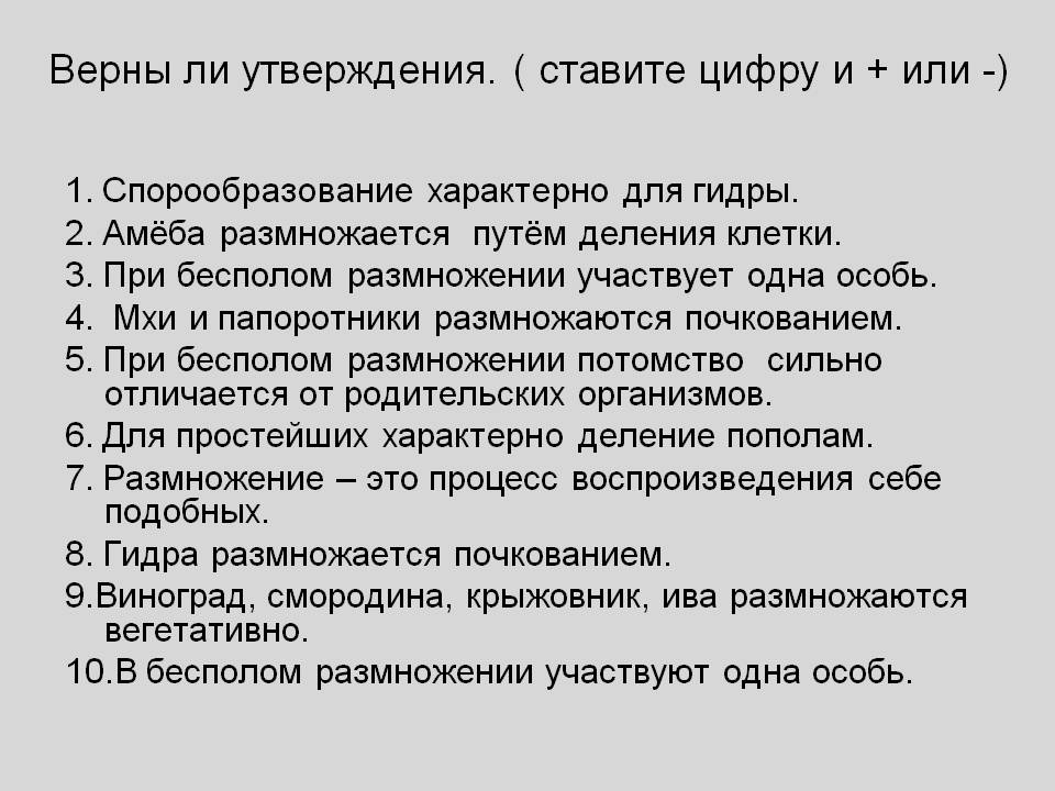 Кракен войти сегодня