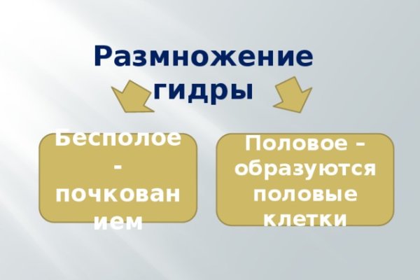 Гидра альтернатива