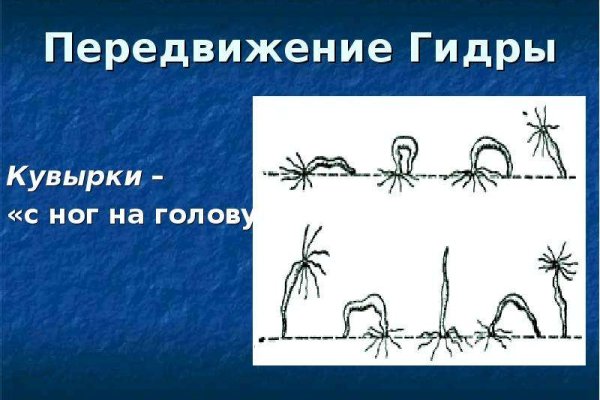 Кракен браузер