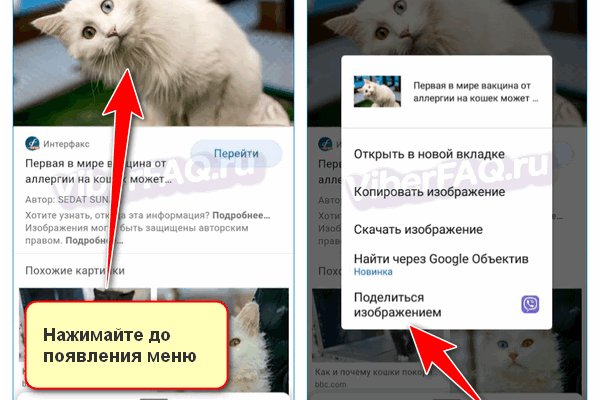 Ссылка кракен сегодня