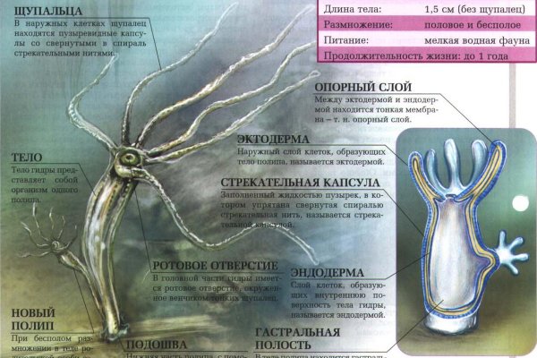 Сайты где купить наркотики